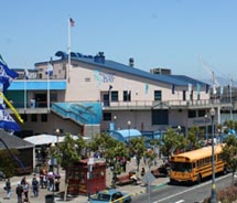 Aquarium of the Bay, in San Francisco, has a new theater. // (c) 2012 Aquarium of the Bay